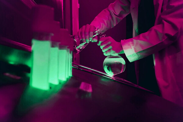 Нулевой пациент