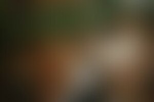 Фотография квеста Джуманджи от компании TruExit (Фото 1)