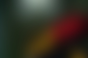 Фотография квеста Академия "Инкогнито" от компании Квестория (Фото 1)