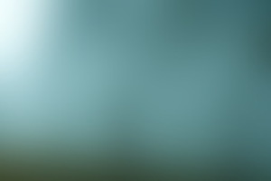 Фотография квеста Клетка от компании выХод (Фото 1)